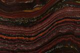 Polished Tiger Iron Stromatolite Slab - Billion Years #185948-1